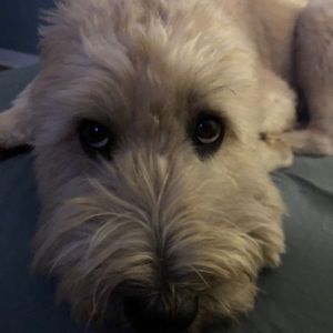 Meet your Posher, Jen